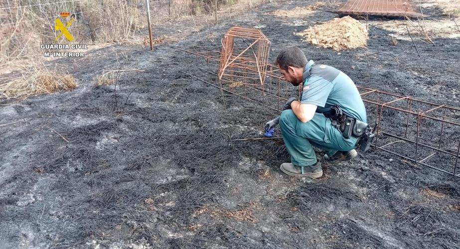 Un agente del Seprona investiga las causas de un incendio