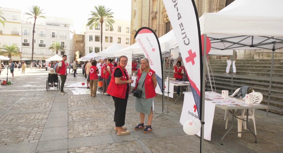 La iniciativa ha estado abierta al público en la plaza de la Catedral