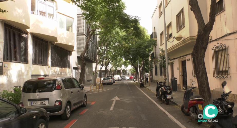 Árboles en una calle de la capital gaditana