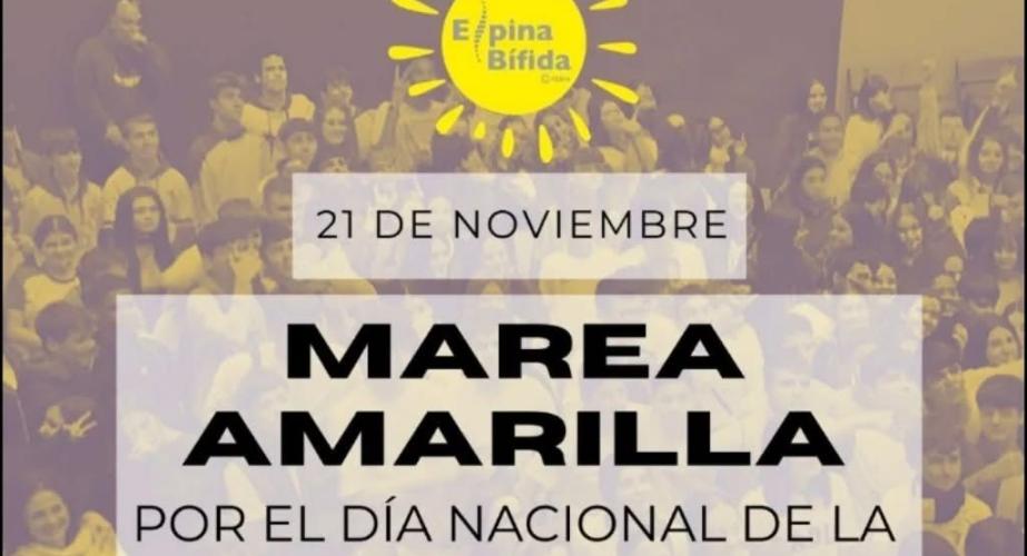La entidad ha pedido a los participantes que vistan una camiseta amarilla para formar una gran marea por las calles de la ciudad