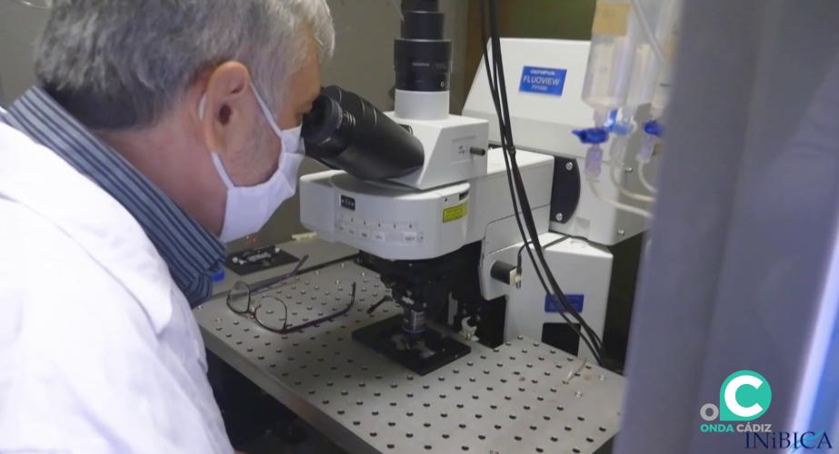 Actualmente tiene activos más de 60 proyectos nacionales e internacionales 