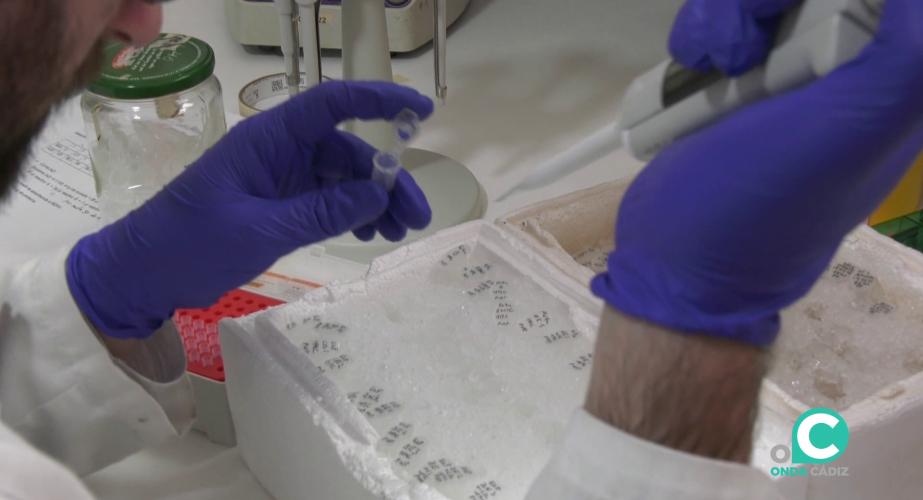 Técnico en un laboratorio