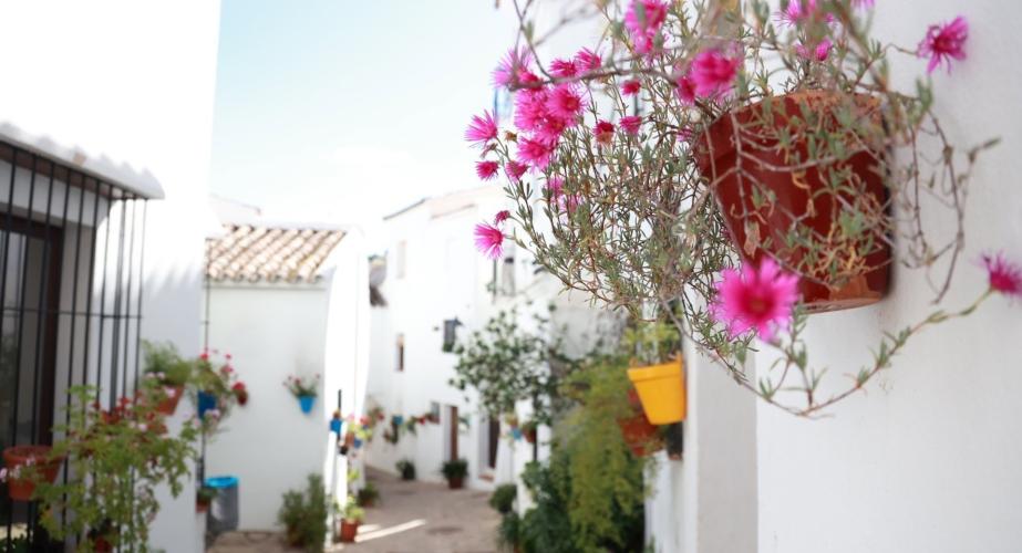 Una calle del pueblo de El Gastor, en la sierra de Cádiz.
