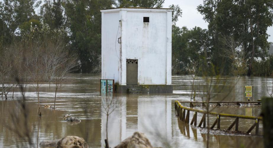 Imágenes del río Guadalete a su paso por la barriada de la Corta