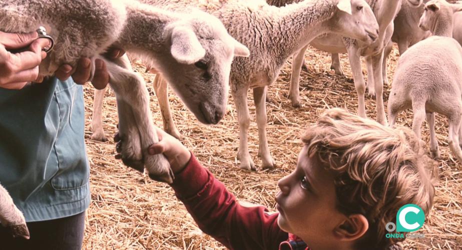 Alguna de las imagenes que se podrán visitar en el Palacio Provincial 