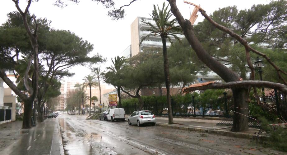 La avenida Gomez Ulla lugar del suceso