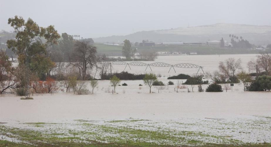 Imagen de la vega del Guadalete inundada tras el desbordamiento del río a su paso por la localidad gaditana de Jerez.