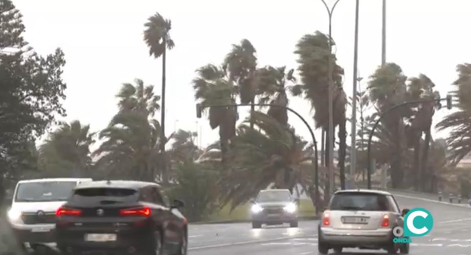 Imagen reciente del temporal en la ciudad de Cádiz. 