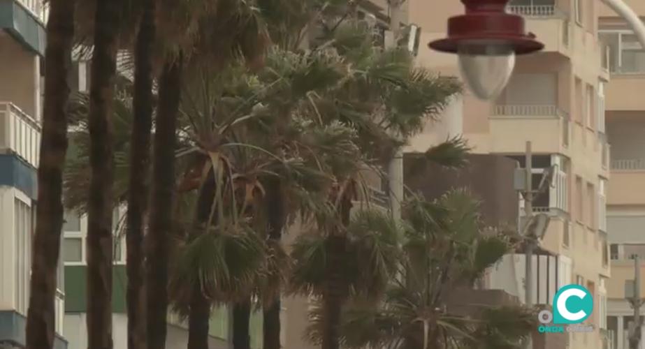 Las lluvias seguirán presentes en los próximos días en la provincia. 