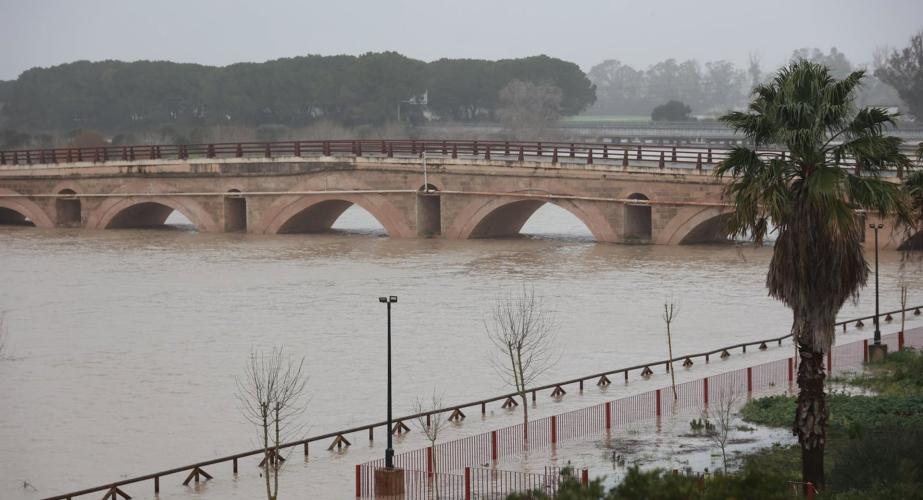 El río Guadalete desborda sus márgenes a su paso por la zona de Las Pachecas en Jerez