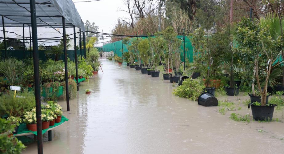 Un invernadero inundado tras el desbordamiento del río Guadalete a su paso por la localidad de Jerez.