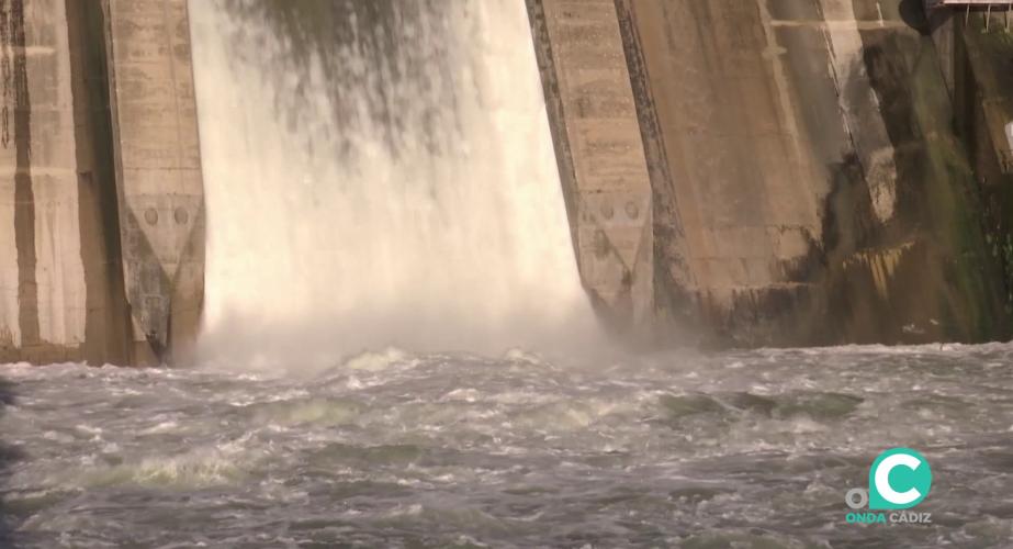 El alivio de agua  en las presas gaditanas sigue siendo constante ante las nuevos chubascos anunciados