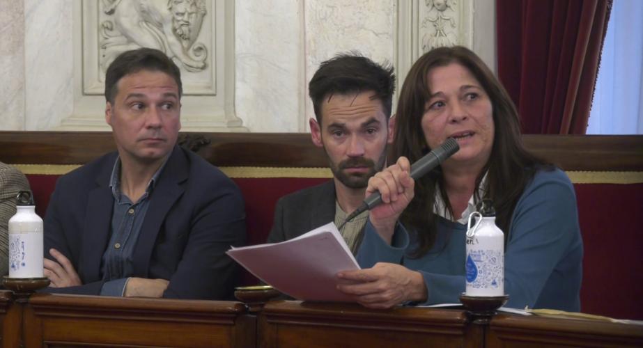 Helena Fernández de AIG durante una sesión plenaria muncipal