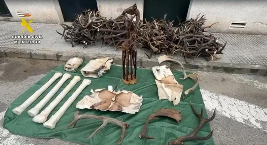 Imagen de la incautación 