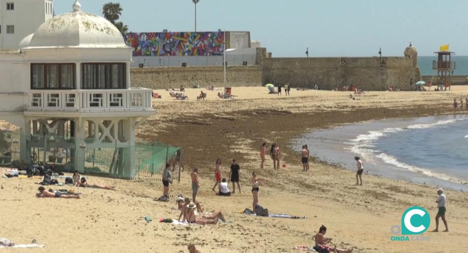 La Caleta, una de las playas afectadas por la invasión del alga Rugulopterix okamurae. 