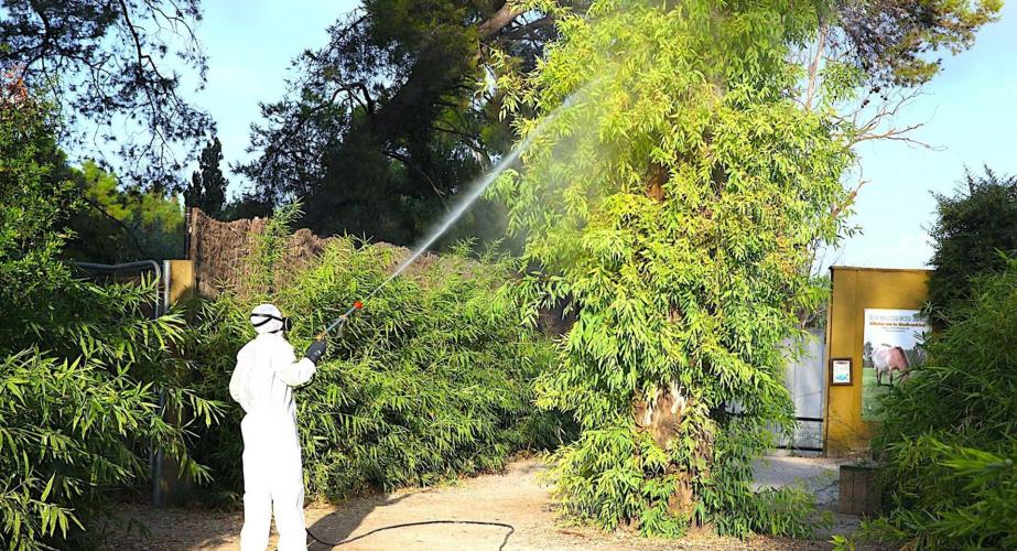 Un operario realizando tareas de fumigación en el Zoobotánico de Jerez 