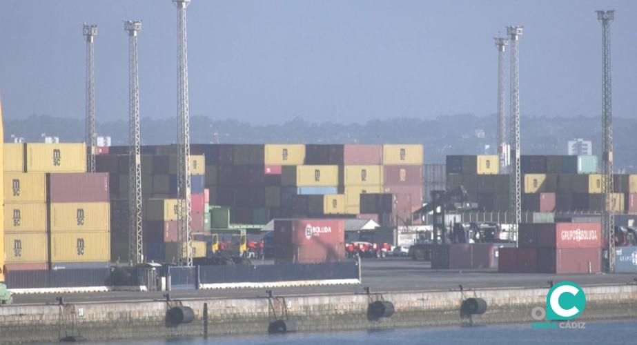 Imagen del Muelle Reina Sofía 