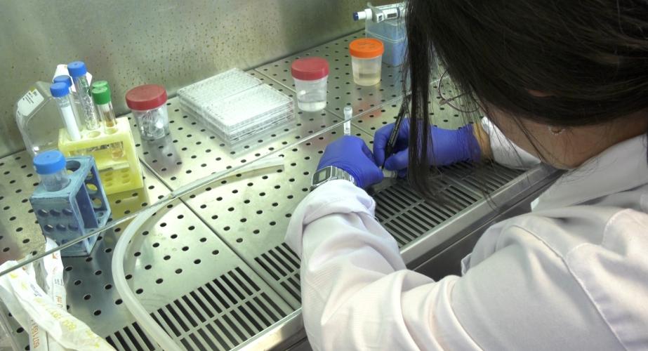 Un estudio andaluz indentifica un biomarcador en sangre para mejorar el diagnóstico del cáncer de ovario
