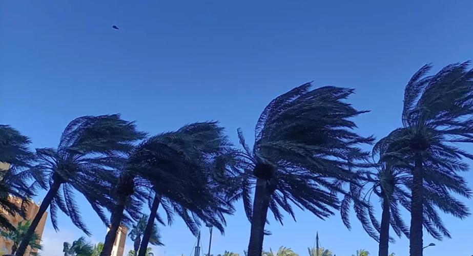 Se prevé que las rachas de viento alcance los 80 km/h