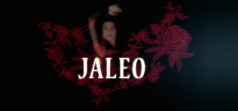 Jaleo Jaleo