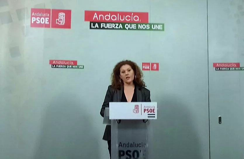 noticias cadiz PSOE Araceli.jpg