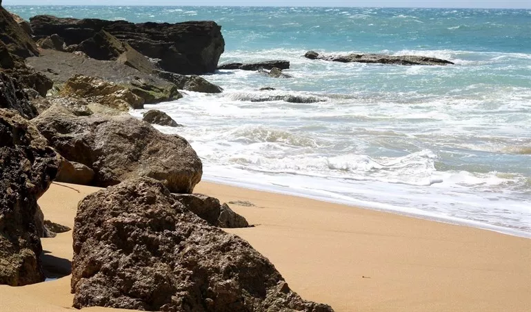 noticias cadiz costa de barbate.jpg noticias cadiz costa de barbate.jpg