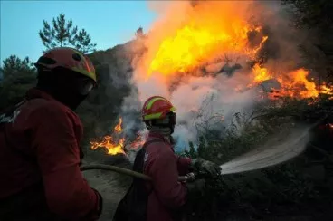 noticias cadiz incendio forestal_4.jpg