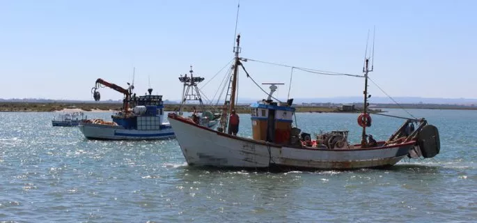 noticias cadiz pesca_3.jpg