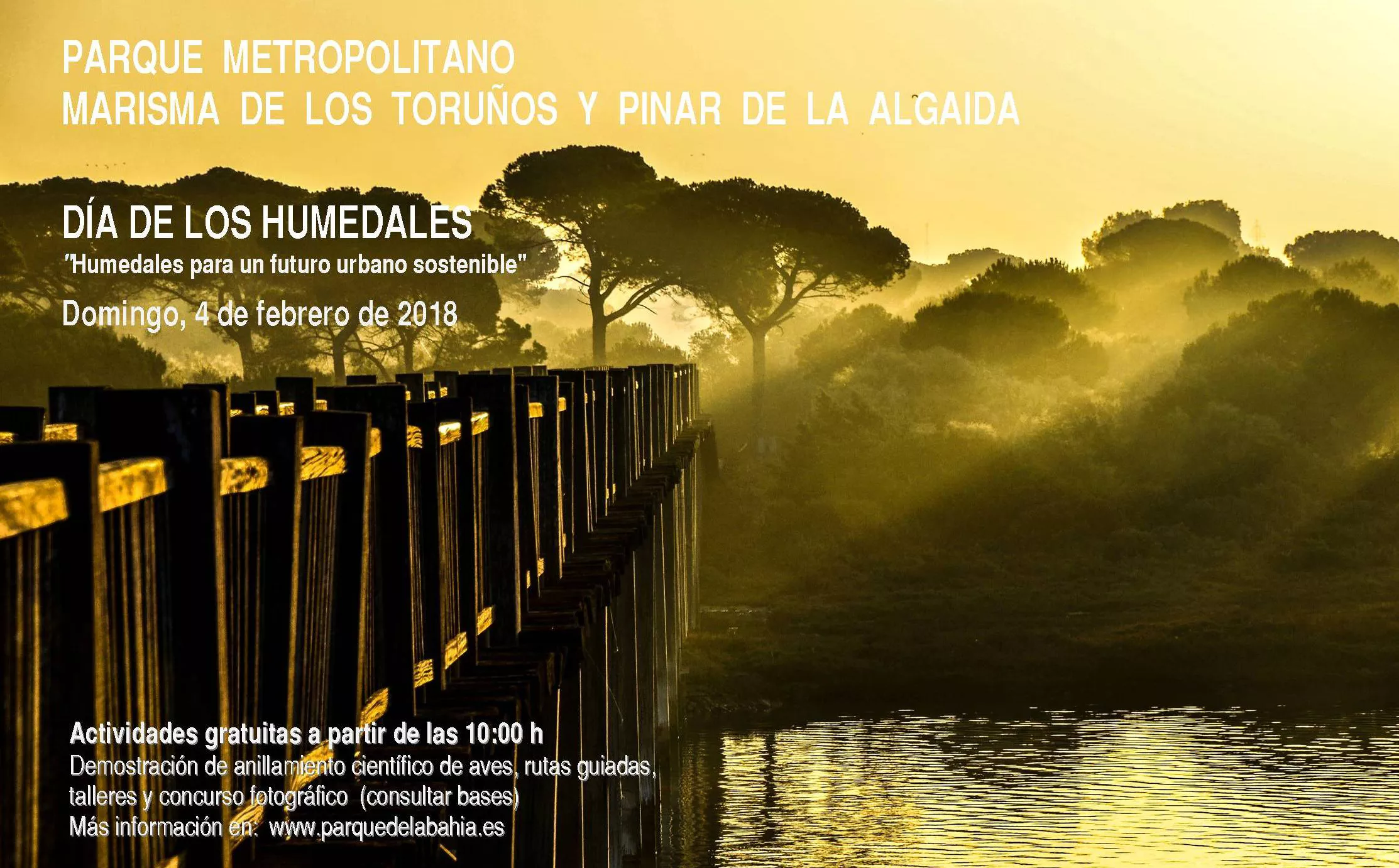 CARTEL DMH 2018 (1).jpg CARTEL DMH 2018 (1).jpg