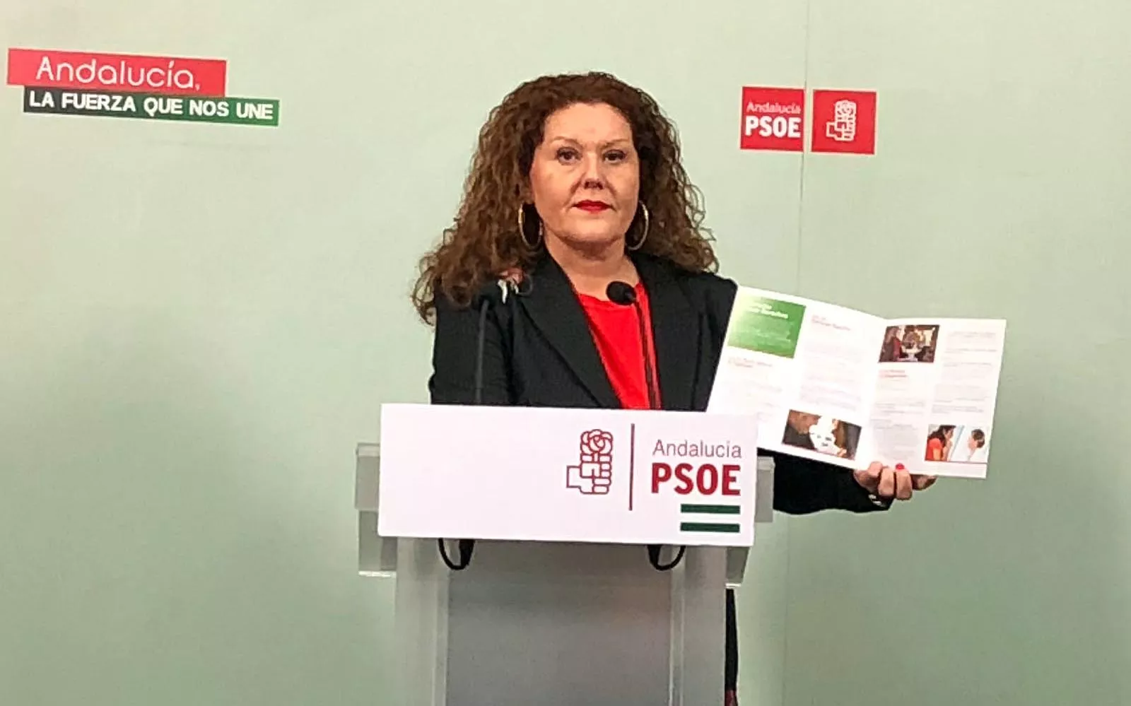noticias cadiz Araceli PSOE_0.jpg noticias cadiz Araceli PSOE_0.jpg