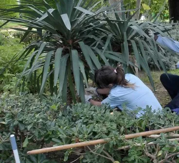 noticias cadiz jardineria_0.jpg noticias cadiz jardineria_0.jpg