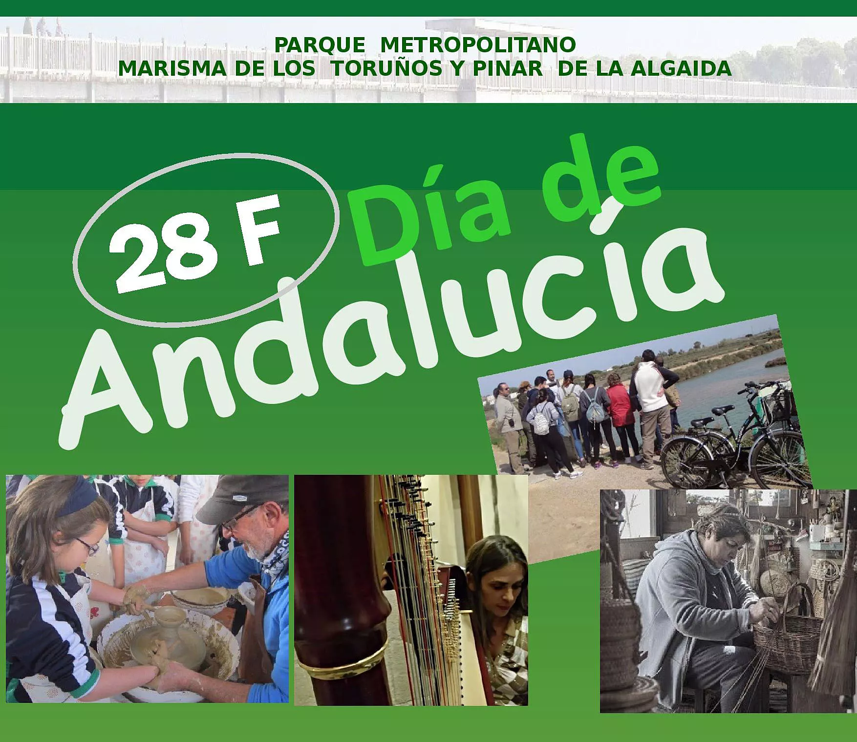 noticias cadiz los toruños_0.jpg noticias cadiz los toruños_0.jpg