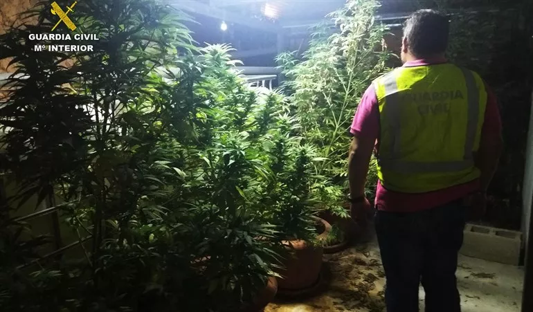 noticias cadiz marihuana_2.jpg noticias cadiz marihuana_2.jpg