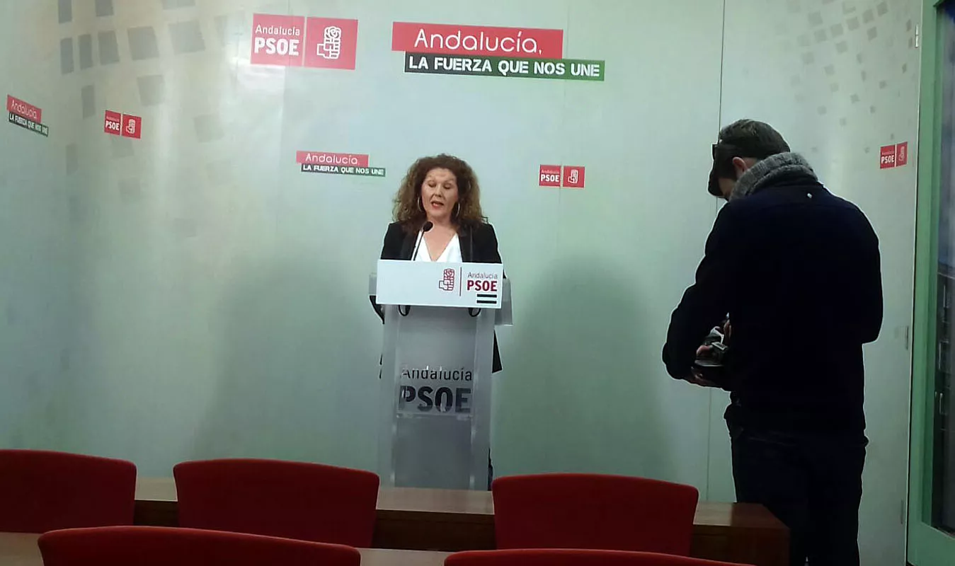 noticias cadiz psoe araceli_0.jpg noticias cadiz psoe araceli_0.jpg