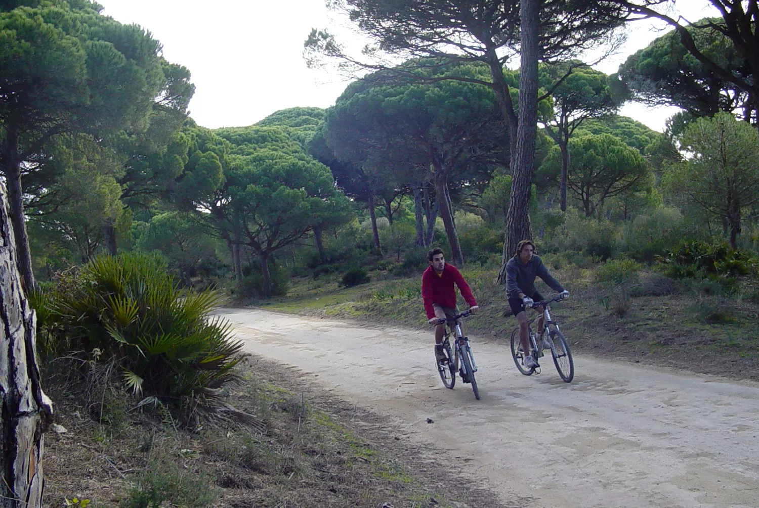 noticias cadiz senderos.jpg noticias cadiz senderos.jpg