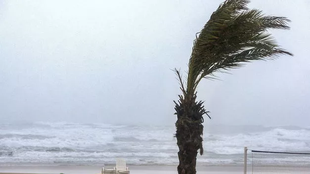 noticias cadiz viento_0_1.jpg noticias cadiz viento_0_1.jpg