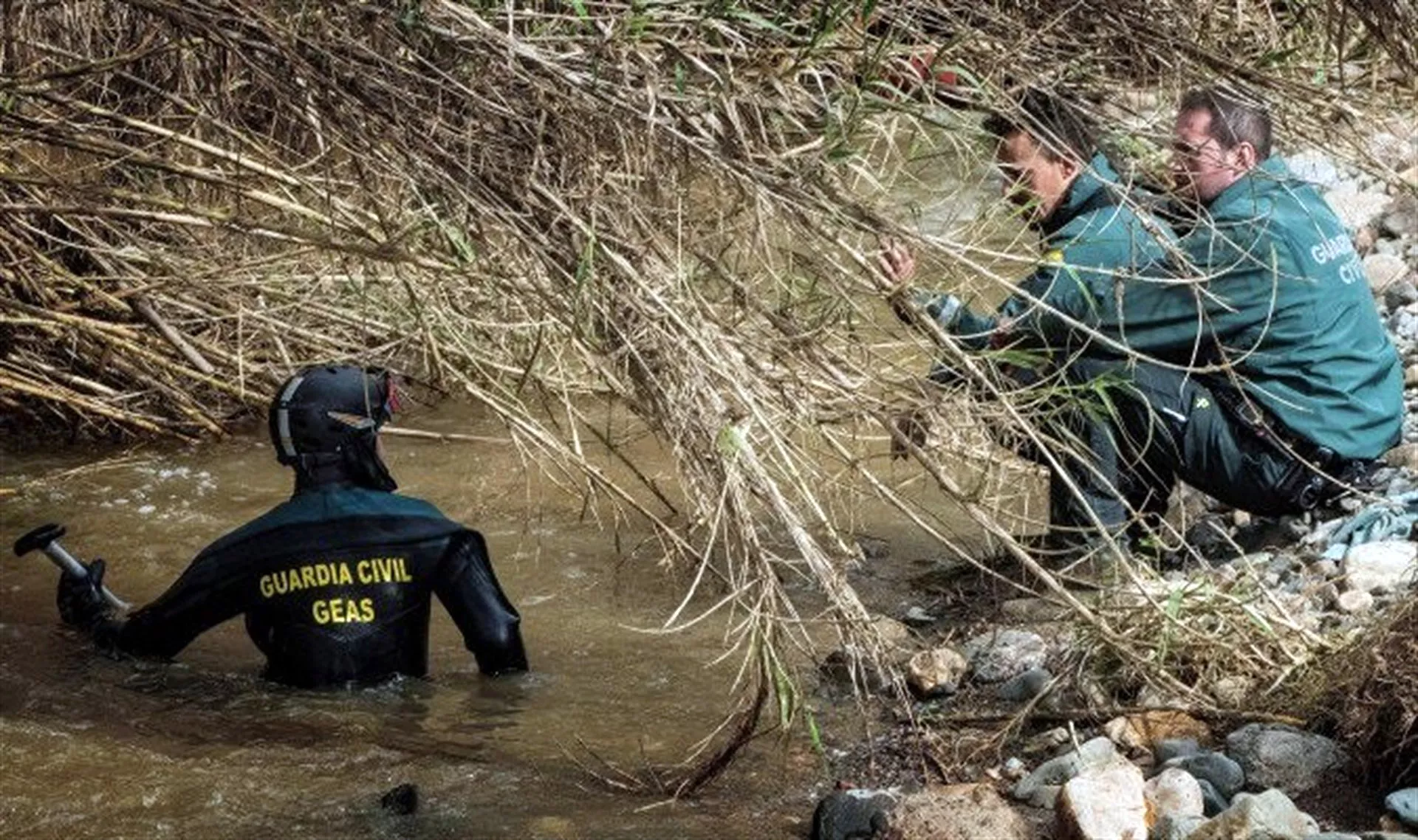noticias cadiz Guillena.jpg noticias cadiz Guillena.jpg