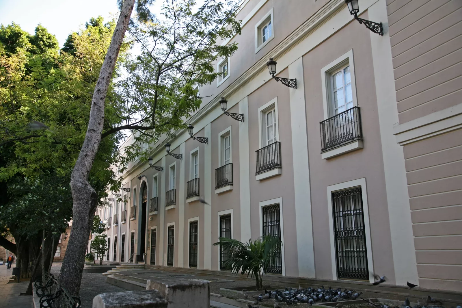 noticias cadiz Museo Provincial 01_2.jpg noticias cadiz Museo Provincial 01_2.jpg