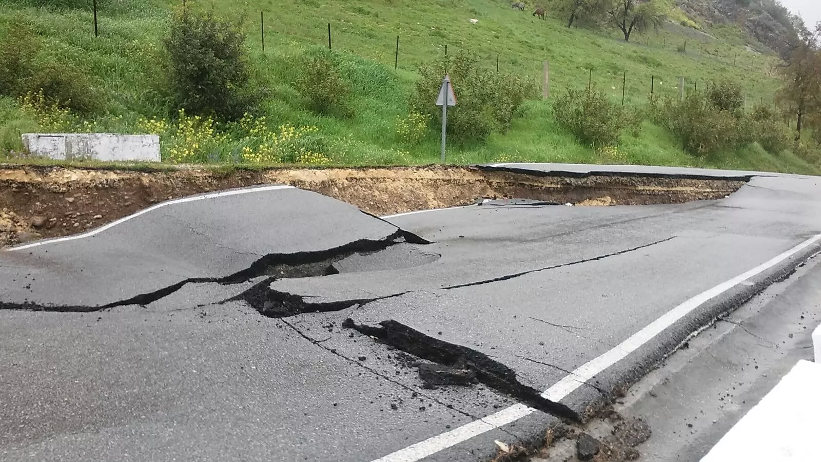 noticias cadiz derrumbe carretera sierra.jpeg