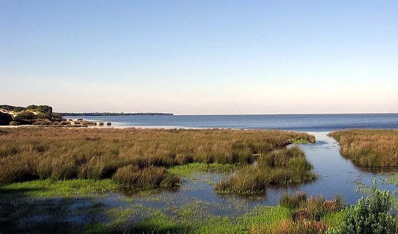 noticias cadiz doñana_0.jpg noticias cadiz doñana_0.jpg