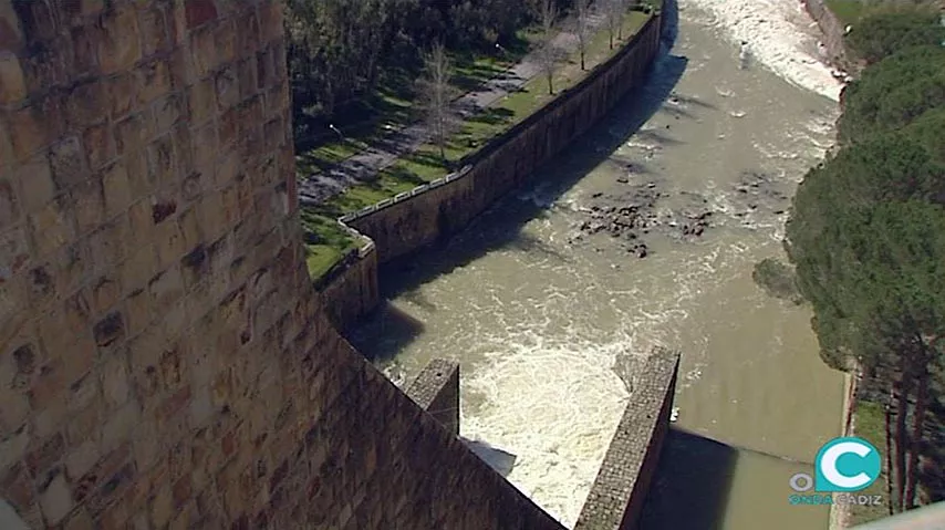 noticias cadiz hurones4.jpg noticias cadiz hurones4.jpg