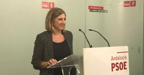 noticias cadiz irene garcia_23.jpg noticias cadiz irene garcia_23.jpg