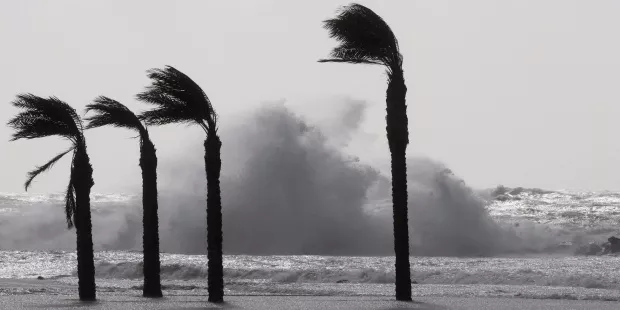 noticias cadiz viento_4_0.jpg noticias cadiz viento_4_0.jpg