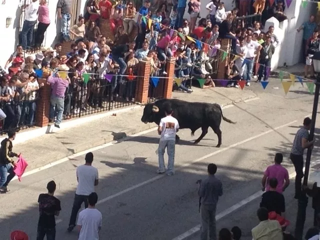 noticias caduz toro del aleluya.jpg noticias caduz toro del aleluya.jpg