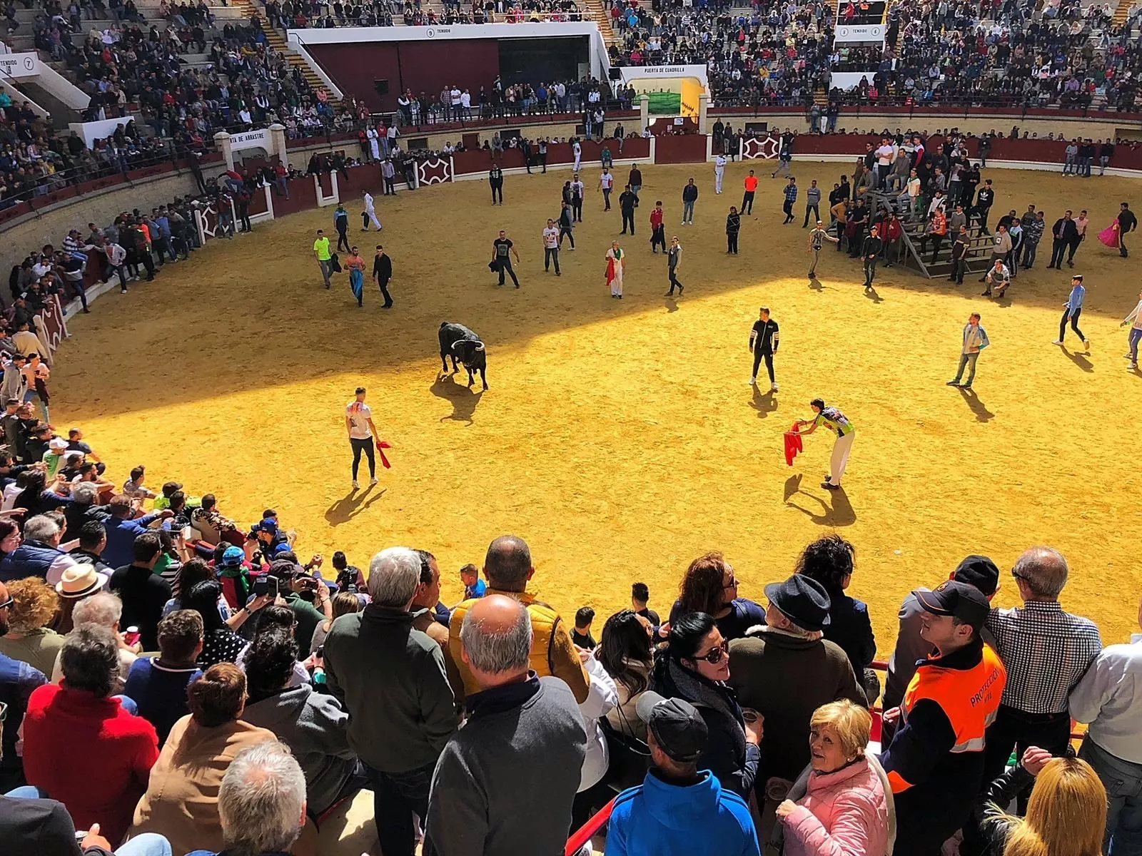 noticias cadiz toro embolao los barrios.jpg noticias cadiz toro embolao los barrios.jpg