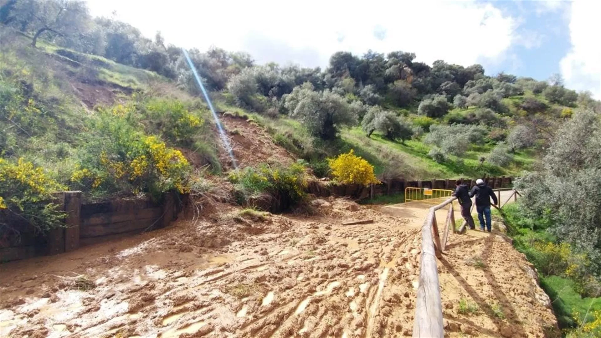 noticias cadiz via verde_2.jpg noticias cadiz via verde_2.jpg