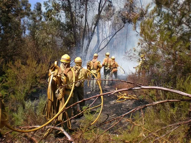 noticias cadiz incendios forestales.jpg