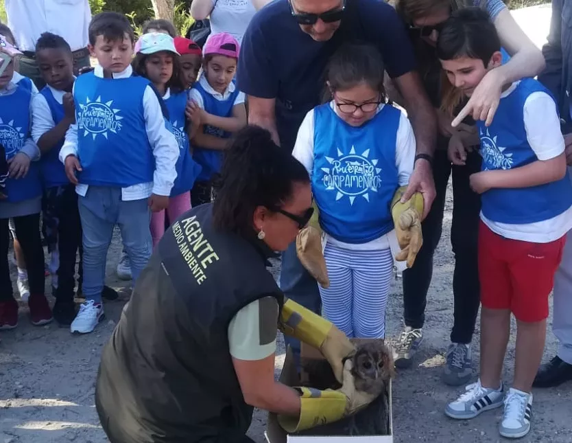 noticias cadiz suelta rapaces.jpg noticias cadiz suelta rapaces.jpg
