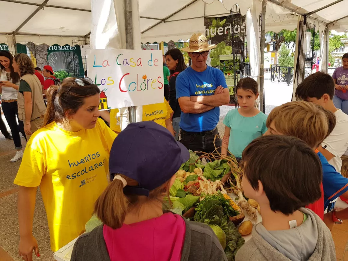 noticias cadiz huertos escolares 2.jpg