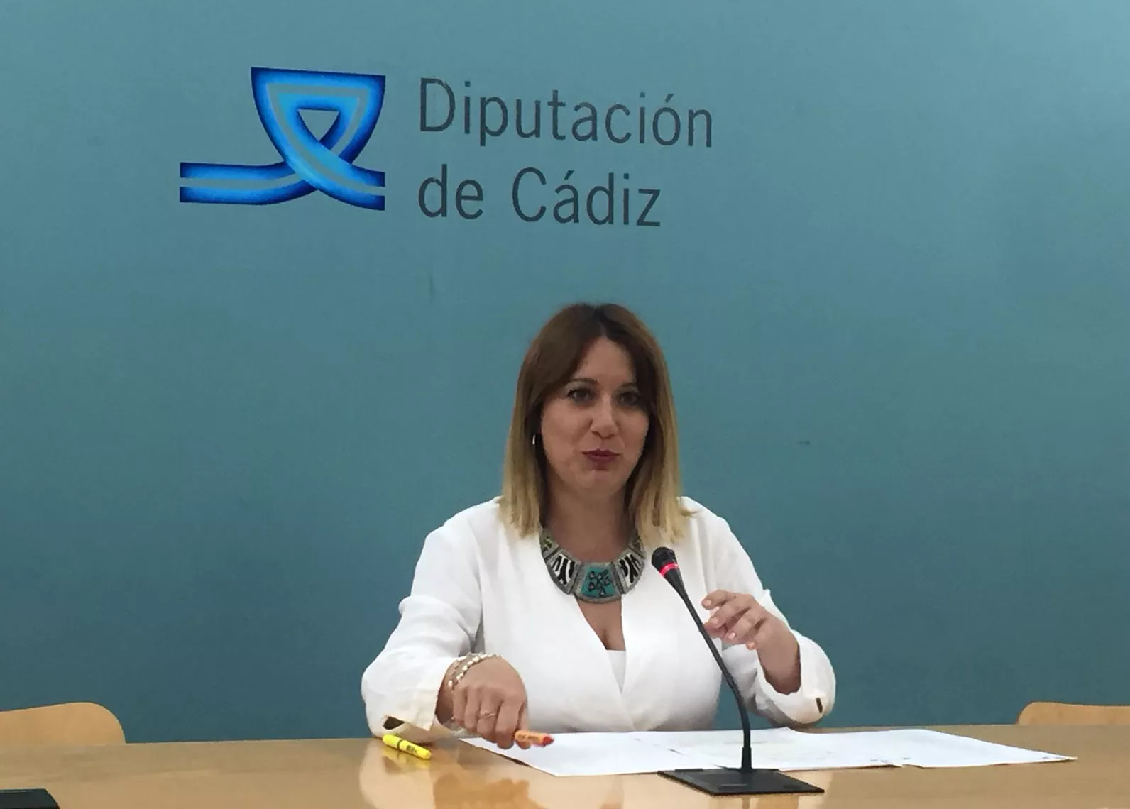 noticias cadiz plan droga diputacion.jpg